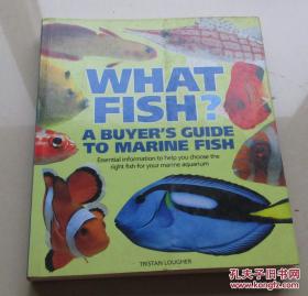 What Fish?: A Buyer's Guide to Marine Fish. [海水鱼选购指南]