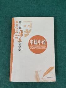 第三届鲁迅文学奖获奖作品丛书：中篇小说（265页缺一角）