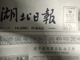 沔阳合理使用支援物资效益显著1962年10月16新隆文桥两站闲时加工粮棉《湖北日报》联溪公社促进秋播生产平衡发展。桃李大队第一生产队改造薄田岗地。同兴四队重视种子田的精耕细作。刘家河大队绿化荒山5百多亩。光化各供销社帮助社员增加副业收入襄阳专区银行部门及时发放贷款。共产党员刘秋廷忠心耿耿为集体坚持繁育良种促进水稻增产。武汉市改进燃煤供应。何骆大队麦茬花收成较好。双莲公社利用生产空隙打撮箕