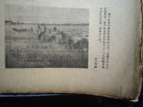 我国决定承认象牙海岸共和国1960年8月7《新疆日报》吐鄯托召开现场会推广吐鲁番利用水力打场经验。哈密各厂矿进一步开展支援农业活动大力支援公社夏收机修力量。建工二师筑路部队掀起施工高潮迎接铁路铺轨。库尔勒县在紧张的夏收战斗中动员各行各业支援夏收1照片。农一师胜利十二坦帮助阿克苏哈拉塔红星公社收割2千亩小麦1照片。阜新煤矿普遍推行井下办公制。中国驻尼泊尔大使张世杰递交国书。