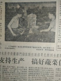 1960年8月27《新疆日报》托克逊县商业和银行部门积极为公社修理秋播农具。新和县红光依其力克公社红光青年队积极伏耕土地准备播种冬麦1照片。克拉玛依独山子矿区普遍推行一二三制工作法。自治区地质局各级领导深入基层抓生产扎扎实实解决1个个具体问题。伊犁直属县市快收细收油菜伊宁县准备普遍试种冬油菜力争明年更多收。乌鲁木齐市商业部门指派驻社联络员扎根到生产队大力支持生产搞好蔬菜供应