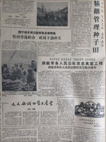 江当等公社又快又细夺丰收1960年8月10黄南力争秋菜多种高产多收《青海日报》羊毛宣队林粮菜间作大显优越。湟源大华公社狠抓晚田管理。西宁后子河公社采取具体措施坚持劳逸结合社员干劲冲天。曲麻莱各人民公社狠抓食堂工作祁连郭米队大走群众路线食堂越办越好。湟源县申中公社星泉大队利用十边地播种秋菜1照片。云南德宏傣族景颇族自治州保山县糖业人民公社2万亩蔗田受到严重干旱威胁1照片