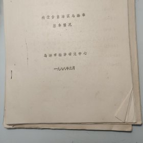 油印20页、1995年 乌海市基本情况