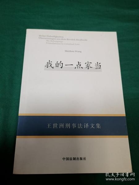 我的一点家当:王世洲刑事法译文集:translations in criminal law