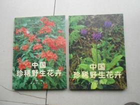 中國(guó)珍稀野生花卉1.2（精裝本）2冊(cè)合售