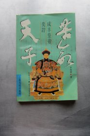 苦命天子：咸丰皇帝奕詝