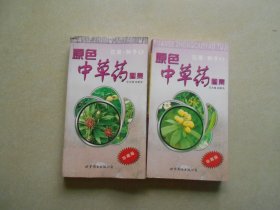 原色中草药图集：花果·种子1.2（珍藏版）2册合售