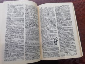 WEBSTER`S NEW Collegiate Dictionary