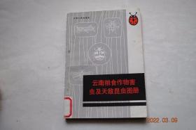 云南粮食作物害虫及天敌昆虫图册【害虫部分（鳞翅目（三化螟。二华螟。台湾稻螟。稻纵卷叶螟。显纹稻纵卷叶螟）。双翅目（稻瘿蚊。稻摇蚊。稻杆潜蝇。水稻钻心蝇。稻水蝇）。同翅目（灰飞虱。黑尾叶蝉。二点黑尾叶蝉。麦长管蚜。麦二叉蚜。玉米蚜。豆蚜。菜蚜。桃蚜。棉蚜）。半翅目（稻黑蝽。乌蝽。稻褐蝽。稻绿蝽。大稻缘蝽。合欢同缘蝽）。鞘翅目。直翅目。其他各目）。天敌昆虫部分（寄生蜂类。寄生蝇类。瓢虫类。其他）】