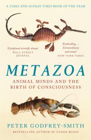 Metazoa: Animal Minds and the Birth of Consciousness，后生动物，英文原版