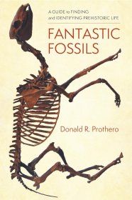 Fantastic Fossils，神奇的化石，英文原版