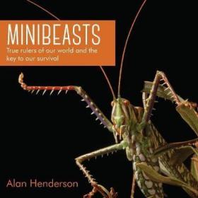 预订 Minibeasts 昆虫，英文原版