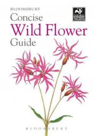 Concise Wild Flower Guide 野花指南，英文原版