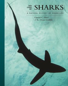 The Lives of Sharks，鲨鱼，英文原版