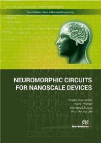 预订 Neuromorphic Circuits for Nanoscale Devices 纳米级设备的神经形态电路，英文原版