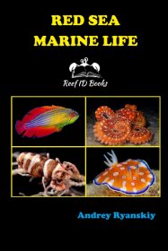 Red Sea Marine Life，红海的海洋生物，英文原版