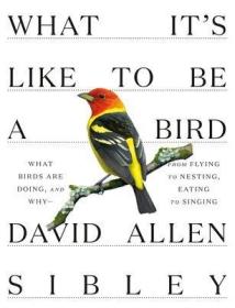 What It's Like to Be a Bird 鸟的生活，美国观鸟协会罗杰·托里·彼得森奖得主、戴维·艾伦·西布利作品，英文原版