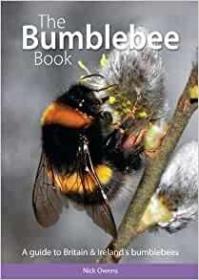 预订 The Bumblebee Book 大黄蜂，英文原版