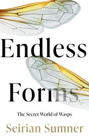 预订 Endless Forms: The Secret World of Wasps 无尽的形态：黄蜂的世界，英文原版