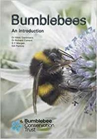 预订 Bumblebees: An Introduction 大黄蜂，英文原版