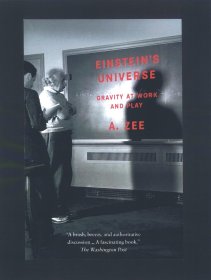 Einstein's Universe：Gravity at Work and Play