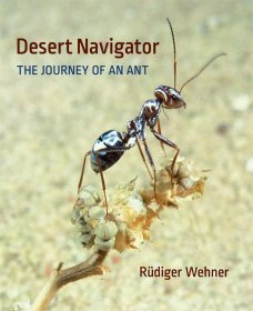 Desert Navigator: The Journey of an Ant，沙漠寻路者：一只蚂蚁的旅程，英文原版