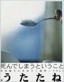 うたたね，川内伦子摄影集，木村伊兵卫摄影奖得主作品，日文原版