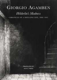 Hölderlin′s Madness，英文原版