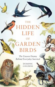 The Hidden Life of Garden Birds: The unseen drama behind everyday survival，花园鸟类的生活，英文原版