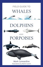 Field Guide to Whales, Dolphins and Porpoises，鲸鱼，海豚和鼠海豚，英文原版