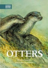Otters，水獭，英文原版