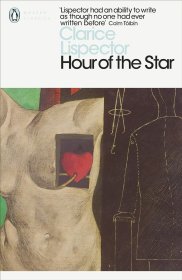 Hour of the Star，星辰时刻，巴西作家、克拉丽丝·李斯佩克朵作品，英文原版
