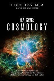预订 Flat Space Cosmology，英文原版