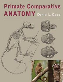 预订 Primate Comparative Anatomy，英文原版