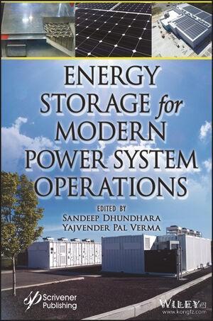 预订 Energy Storage for Modern Power System Operations，英文原版
