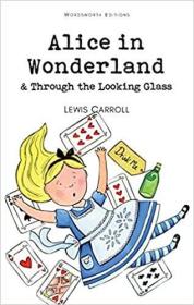 Alice in Wonderland and Through the Looking Glass 爱丽丝漫游仙境 & 爱丽丝镜中奇遇记，插图版，刘易斯·卡洛尔作品，英文原版