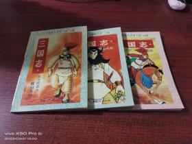 三国志  第 2,3,4册，共3本合售