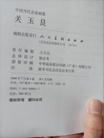 中国当代名家画集：关玉良   带外盒