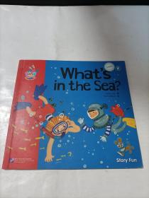 what's in the sea