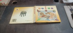 動物大圖集 精裝