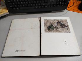 卞青  【精装】     内有水印