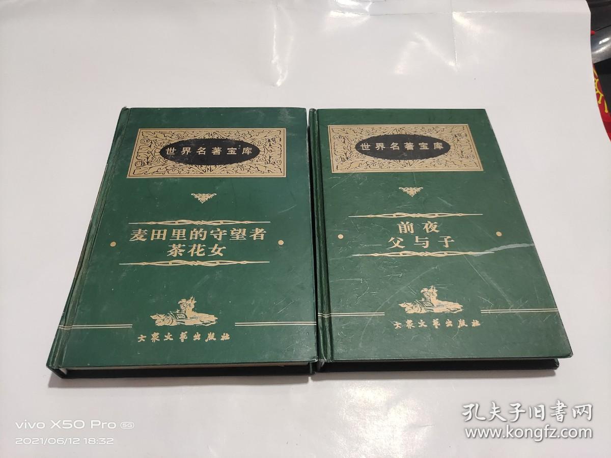 世界名著宝库 麦田里的守望者.茶花女，前夜父与子 2本合售 精装
