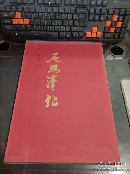 中国当代名家画集   尼玛泽仁   带外盒  精装