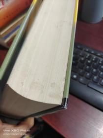 单位犯罪的认定与处罚全书    上下    精装   下册书口如图     整体八五品
