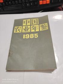 中国农业年鉴  1985