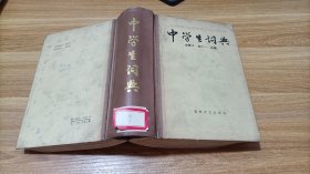 中學(xué)生詞典 精裝