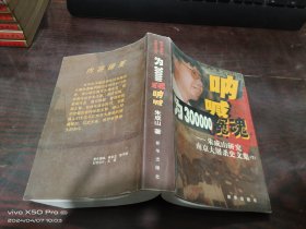 为300000冤魂呐喊：朱成山研究南京大屠杀史文集   下册
