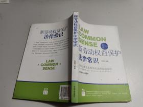 新劳动权益保护法律常识 实用版       内有少许水印