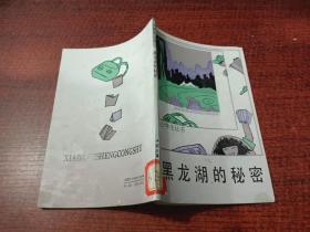 黑龙湖的秘密 （小学生丛书）