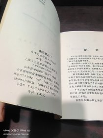 少年艺术技能入门丛书   藏书票入门